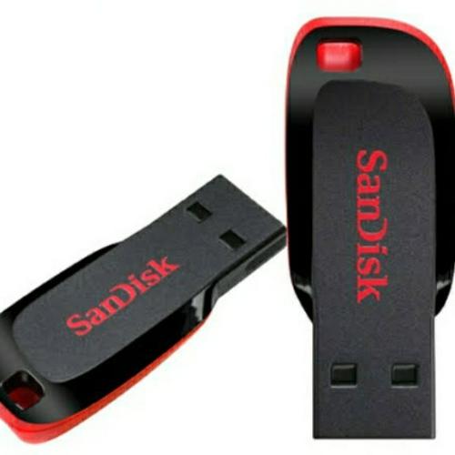 8gb Sandisk Flash Drive