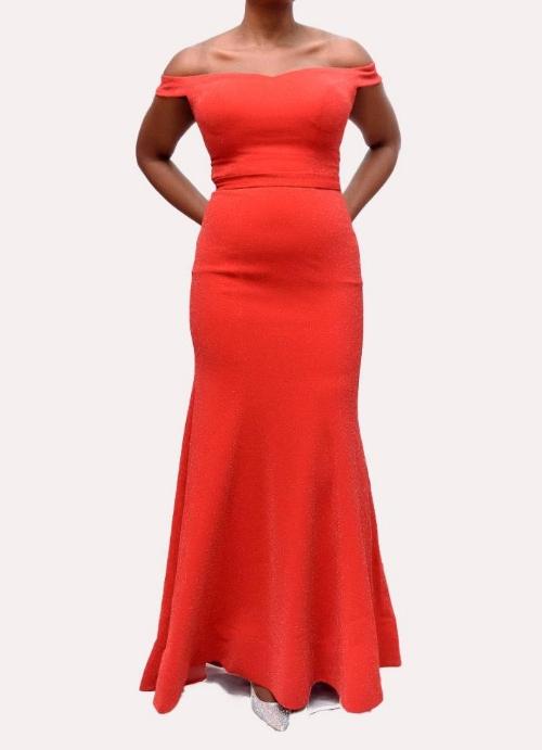 Long Body Hugging Party Dress 