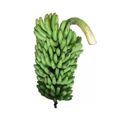 Matooke