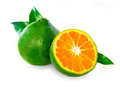 Tangerine