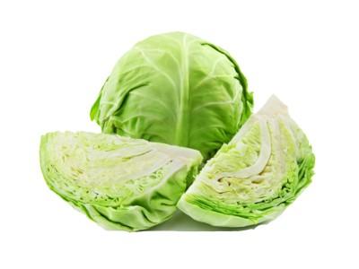 Cabbage