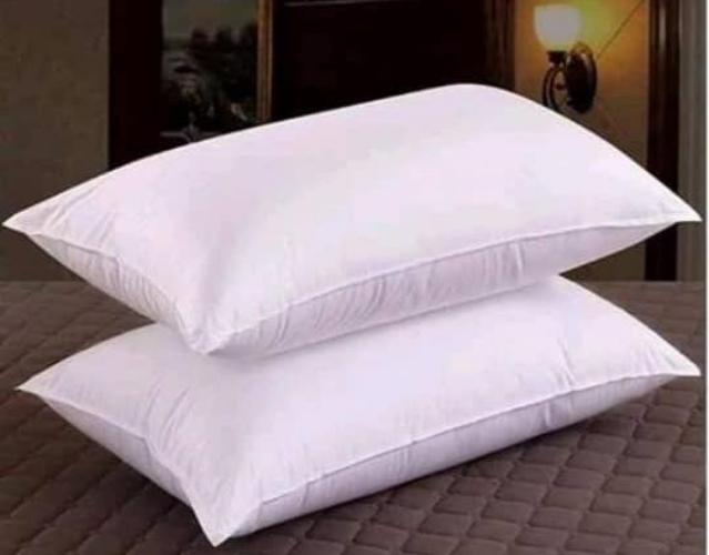 A pair of Self Inflatable Pillows