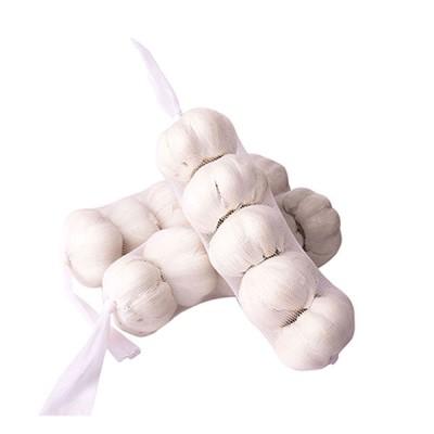 Garlic - Imported