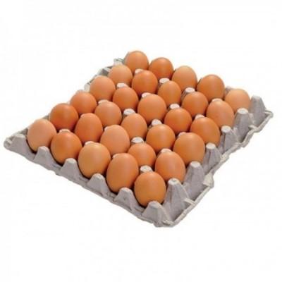Eggs - Local