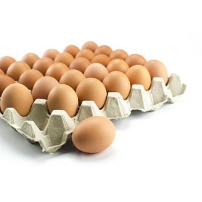 Eggs - Exotic