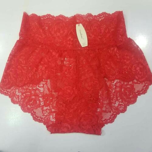 Laced High Waist Netted Knickers