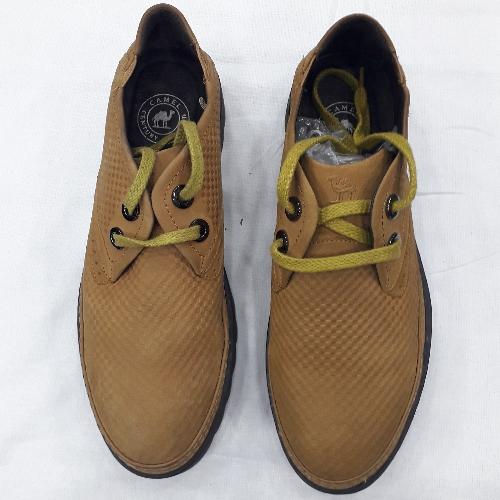 Camel Century Legend Canvas